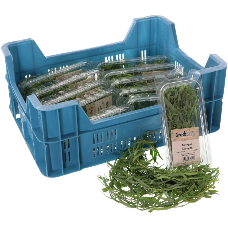 ESTRAGON GROSBUSCH 12X20G